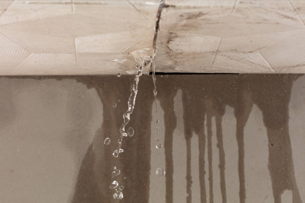 Professional Burst Pipe Cleanup technician working in Ovid, MI